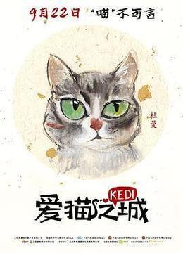 爱猫之城