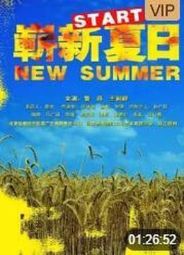 崭新夏日