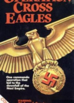 十字鹰行动OperationCrossEagles