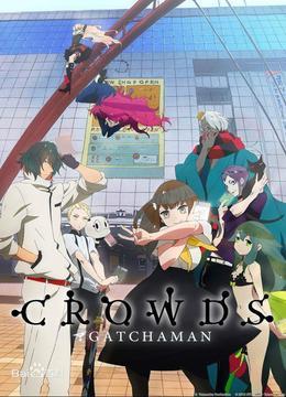 学小飞侠Crowds 