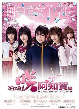 天才麻将少女：阿知贺篇 特别篇 咲-Saki