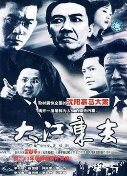 大江东去2003