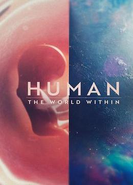 人类：体内的世界 Human: The World Within