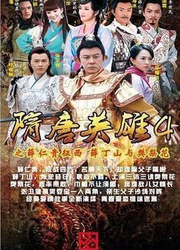 隋唐英雄4DVD版